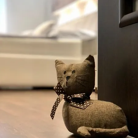 公寓 Downtown In Style - Luxury 布达佩斯
